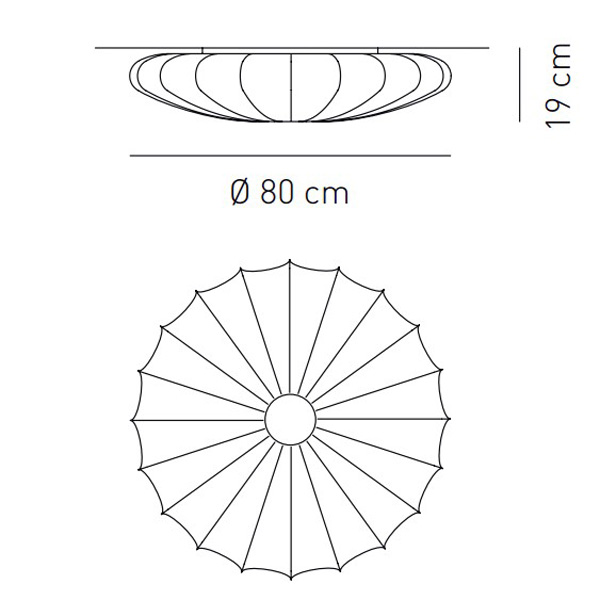 MDN