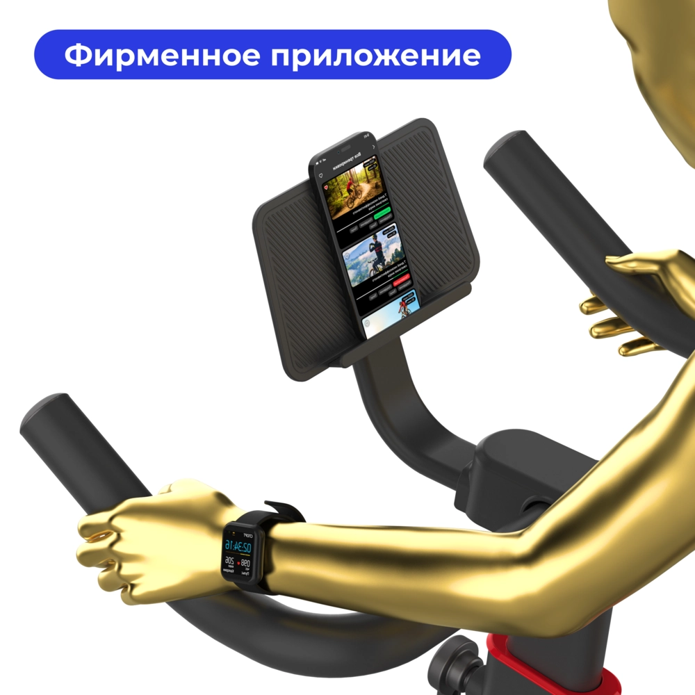 MDN