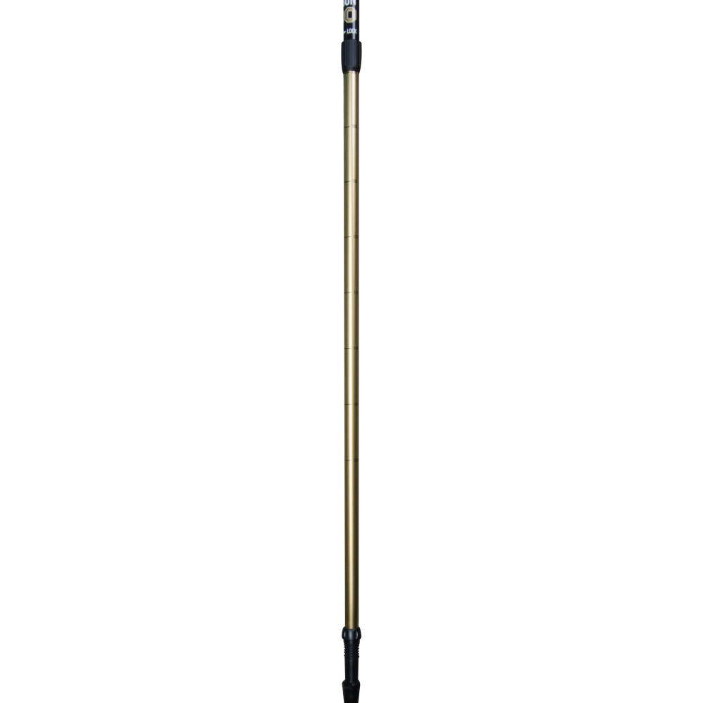 US MEDICA Carbon GTS (2 секции)