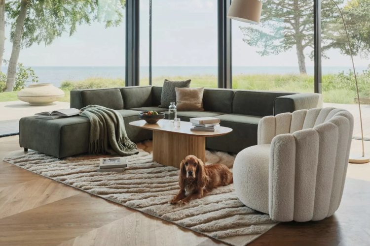 MDN