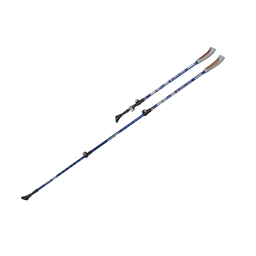 Палки для скандинавской ходьбы Yamaguchi Forward