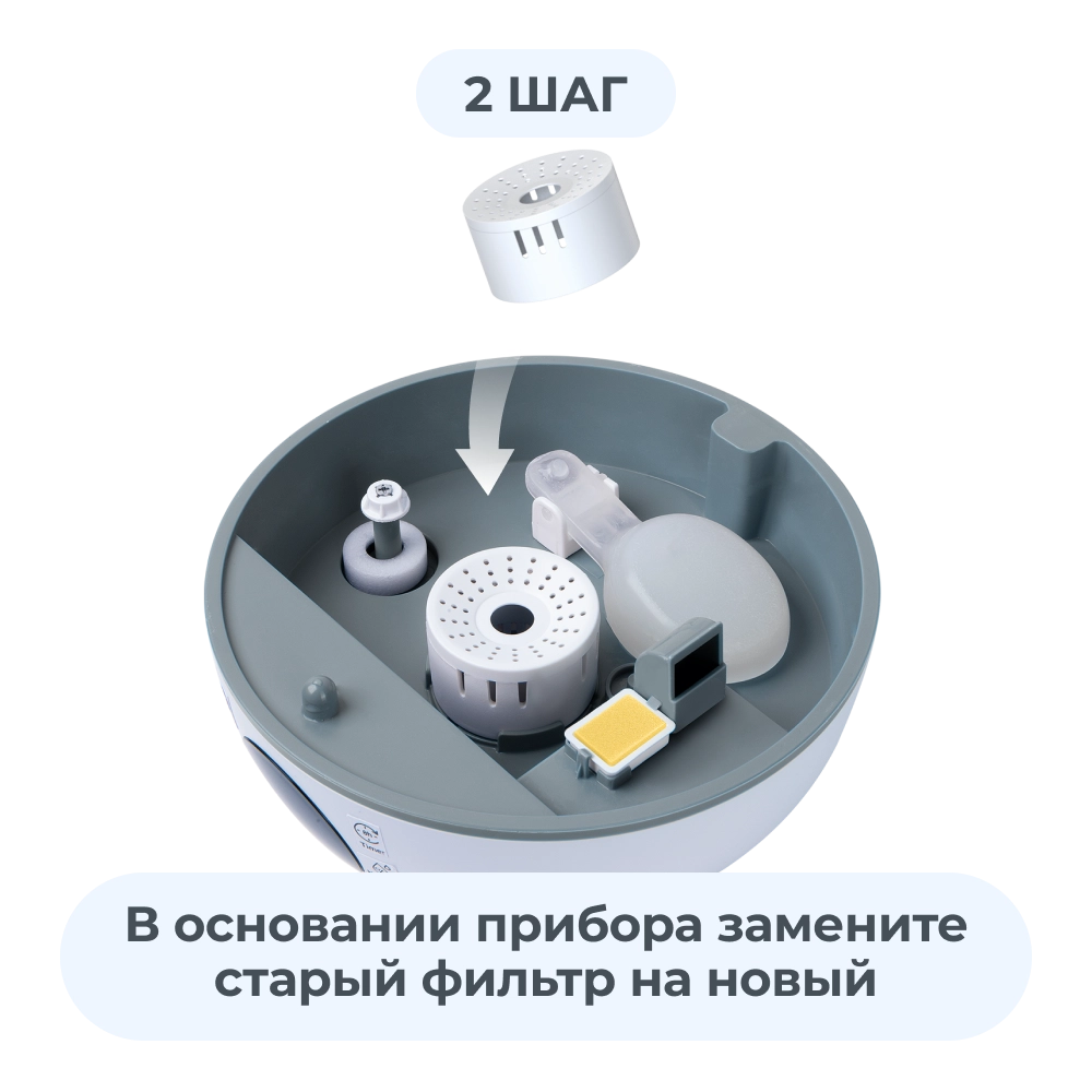 MDN