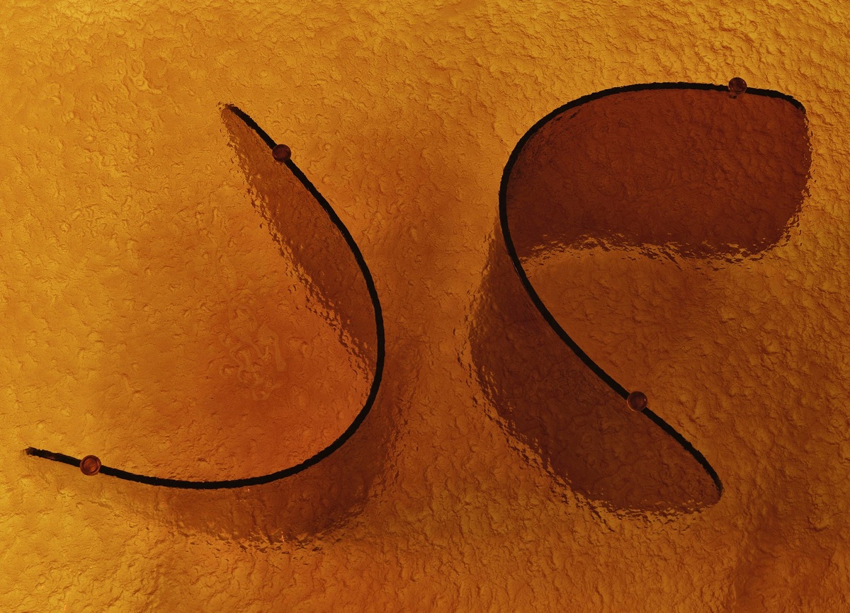MDN