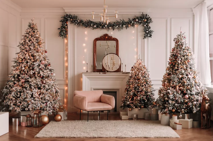 scale_1200-3.png scale_1200-3.png