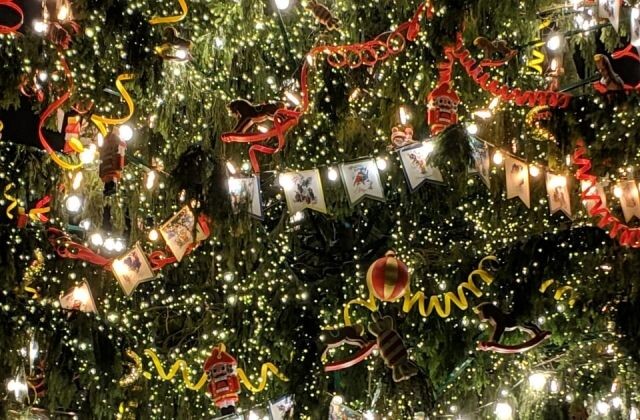 scale_2400 (2).jpeg scale_2400 (2).jpeg