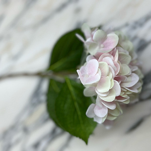 Искусственная гортензия розовая Bianco L33 BI  Adriani&Rossi Италия