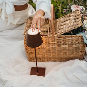 Настольная лампа Zafferano Poldina Poldina Corten LD0340R3