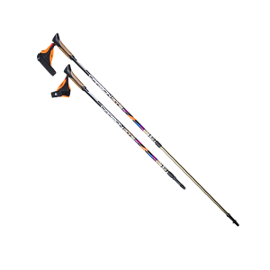 US MEDICA Carbon GTS (2 секции)
