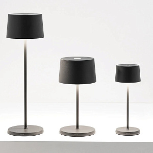 Настольная лампа Zafferano Olivia Olivia Dark Grey LD0850N3