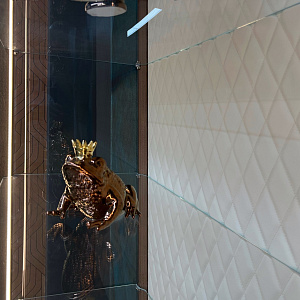 Витрина Venus