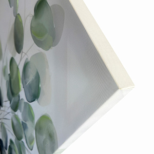Картина Eucalipto/2 60x90 см