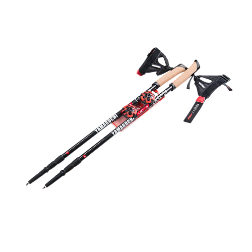  Палки для скандинавской ходьбы Yamaguchi Ultra Carbon , фото № 1