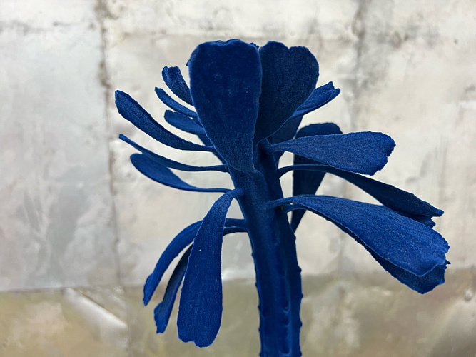  Скульптура Cactus Rubino L192/10  Adriani&Rossi Италия , фото № 5