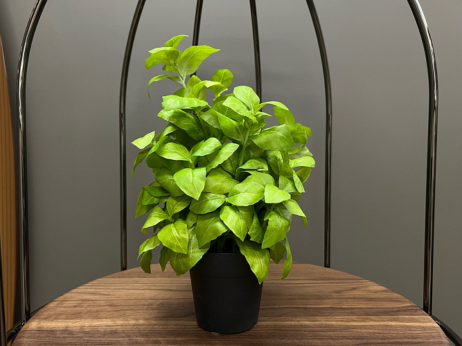  Искусственный цветок Basilico  L151 Adriani&Rossi Италия , фото № 1