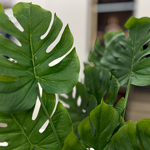 Искусственный цветок Split Philo L168 Adriani&Rossi Италия