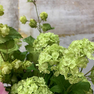 Цветок искусственный VIBURNO VERDE CHIARO калина