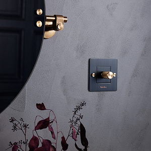 Тумблер Buster and Punch Plates and Modules Dimmer brass CDK-052049