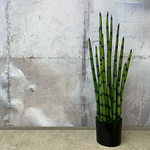 Предмет декора  цветок Sanseveria L183.
Adriani&Rossi.