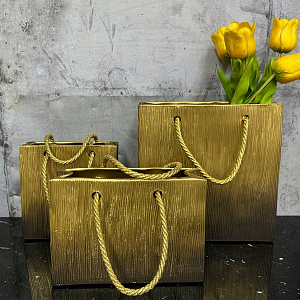 Аксессуар Borsetta Bronze Q330/5R