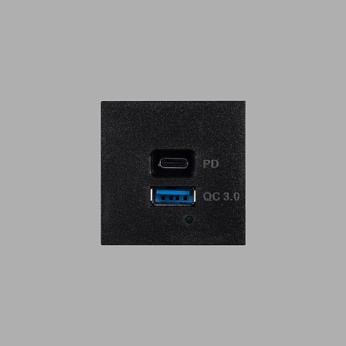  Модуль Buster and Punch Plates and Modules USB A+C black CXM-021898 , фото № 1