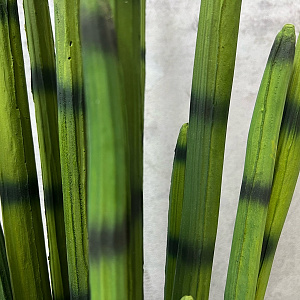 Предмет декора  цветок Sanseveria L183.
Adriani&Rossi.