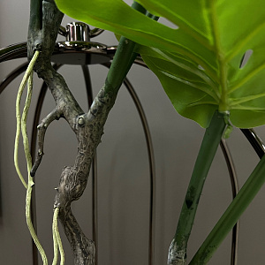 Искусственное растение Spiltphilodendron Small L184  Adriani&Rossi Италия