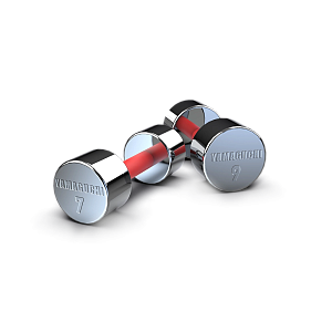 Набор стальных гантелей на стойке от 1 до 10 кг Yamaguchi Dumbbells Rack