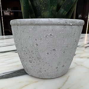 Искусственный цветок Sanseveria L177
Adriani&Rossi.