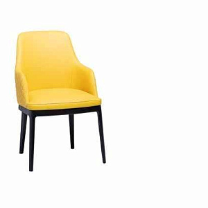 Стул Cleo Élite