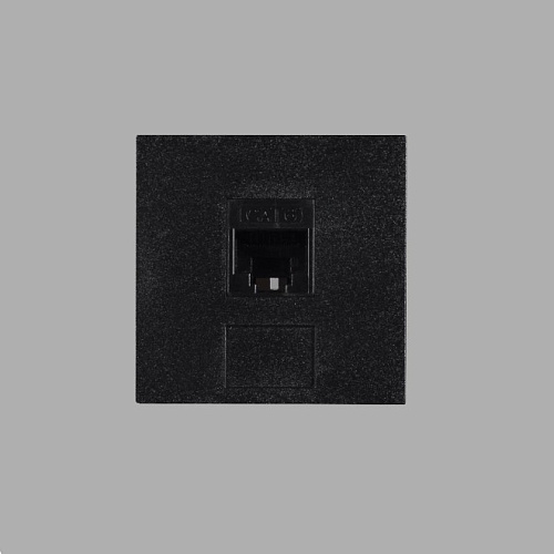  Модуль Buster and Punch Plates and Modules RJ45 black CXM-021901 , фото № 1