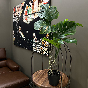 Искусственное растение Spiltphilodendron Small L184  Adriani&Rossi Италия