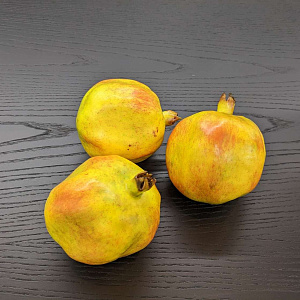 Декоративные фрукты Melograno