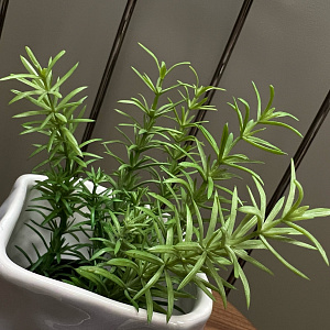 Искусственный цветок Rosmarino  L171 Adriani&Rossi Италия