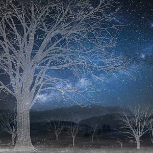 Итальянская картина на холсте Midnight tree 80?60