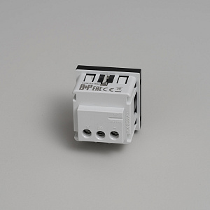 Модуль Buster and Punch Plates and Modules Schuko Socket Type F black CSM-021896