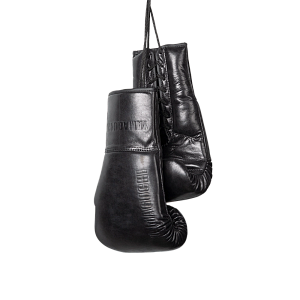 Боксерские перчатки Boxing Gloves