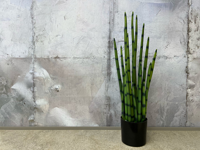  Предмет декора  цветок Sanseveria L183.
Adriani&Rossi. , фото № 1