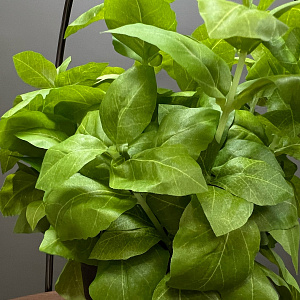 Искусственный цветок Basilico  L151 Adriani&Rossi Италия