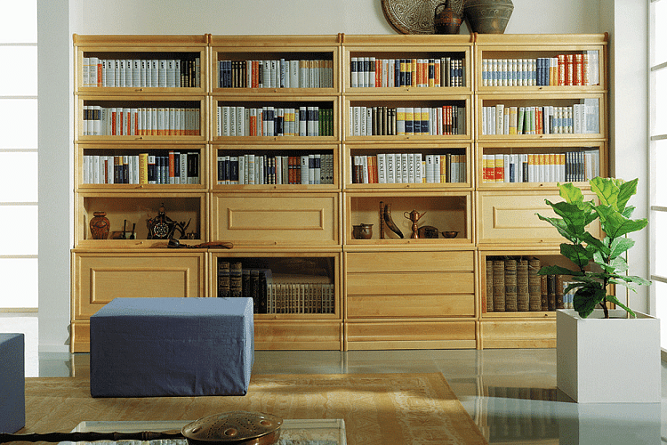  Книжный шкаф с выдвижными ящиками. Пример №17 , фото № 1