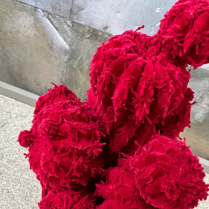 Скульптура Cactus Rubino L181/10