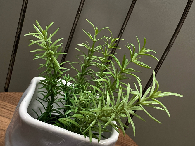  Искусственный цветок Rosmarino  L171 Adriani&Rossi Италия , фото № 1