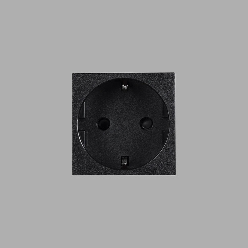  Модуль Buster and Punch Plates and Modules Schuko Socket Type F black CSM-021896 , фото № 1