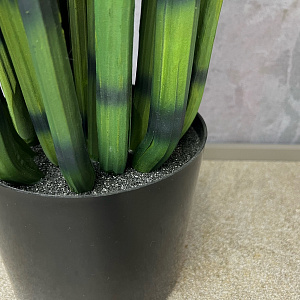 Предмет декора  цветок Sanseveria L183.
Adriani&Rossi.