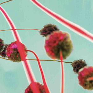 Итальянская картина. Giugno. Фактурная штукатурка на алюминии. ED-005 Художник Enrico de  Luigi.