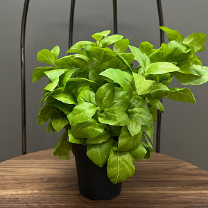 Искусственный цветок Basilico  L151 Adriani&Rossi Италия