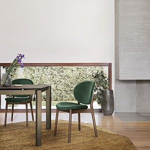 Итальянский Стул Ines. Calligaris.