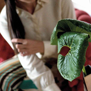 Кресло GIUGGIOLA