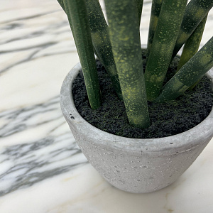 Искусственный цветок Sanseveria L177
Adriani&Rossi.