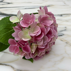 Искусственная гортензия розовая  Rosa L33RO Adriani&Rossi Италия