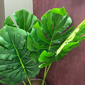 Листья FOGLIA VERDE